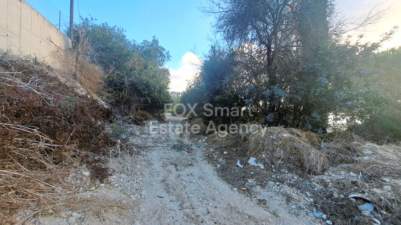 Immobilie 56221 Tsada, Paphos / LIM-PAF-26882