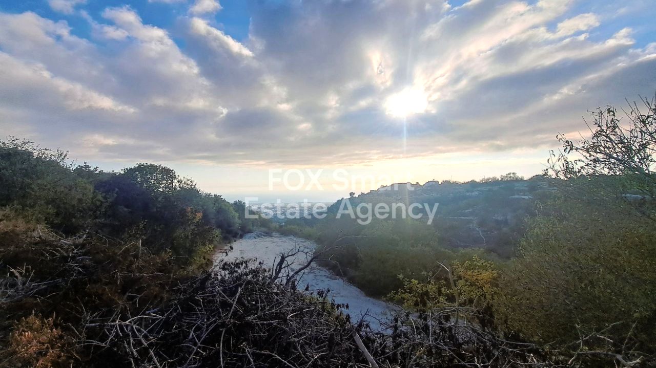 Immobilie 56221 Tsada, Paphos / LIM-PAF-26882