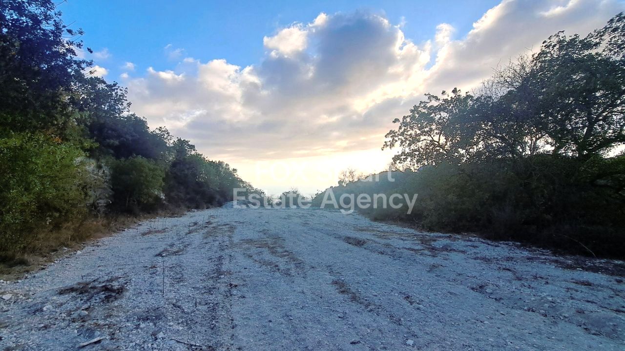 Immobilie 56221 Tsada, Paphos / LIM-PAF-26882