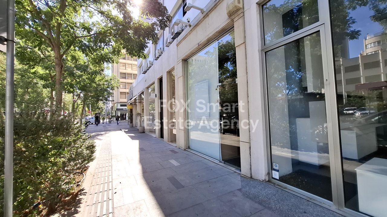 Thumbnail 1 Property 1110 Nicosia / 46101