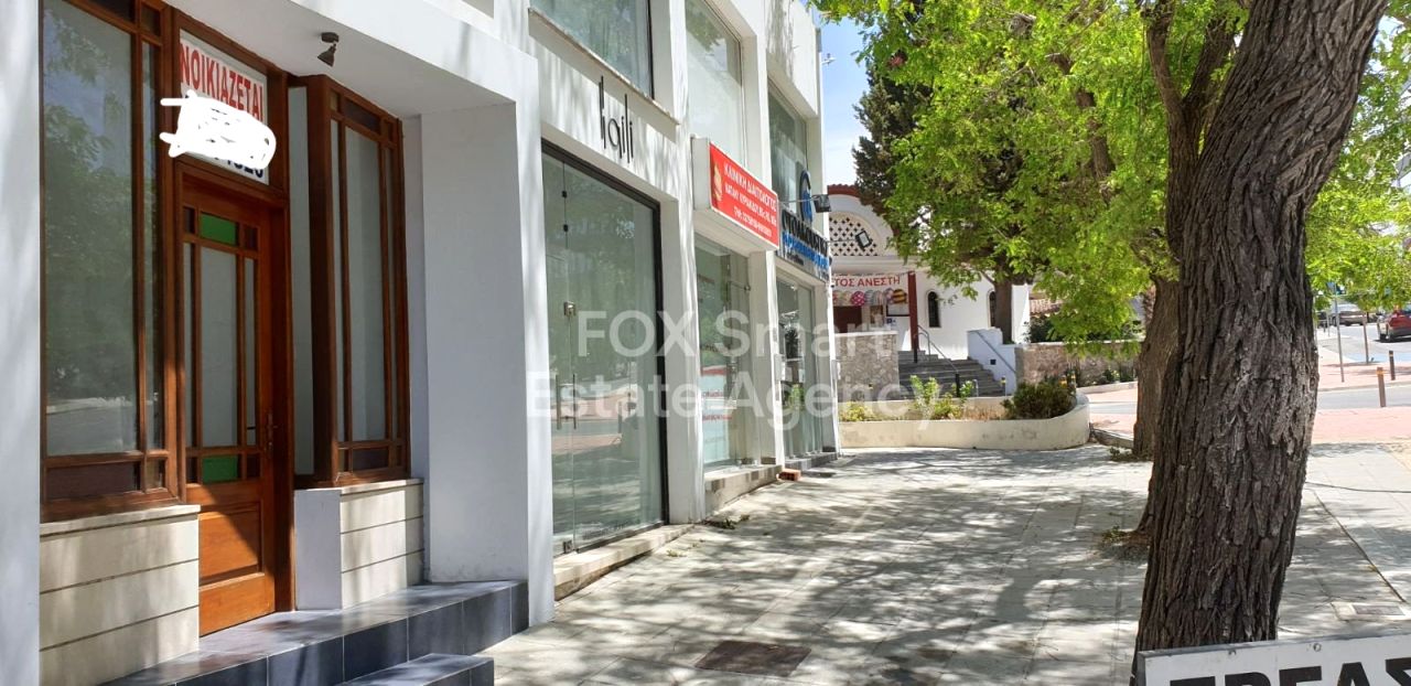 Thumbnail 10 Property 1110 Nicosia / 46778