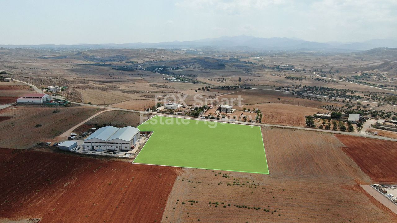 Immobile 35203 Agioi Trimithias, Nicosia / 27281