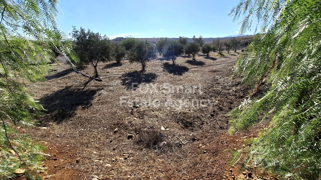 נכס 45346 אגיוס יואניס מאלונטס, ניקוסיה / 39287