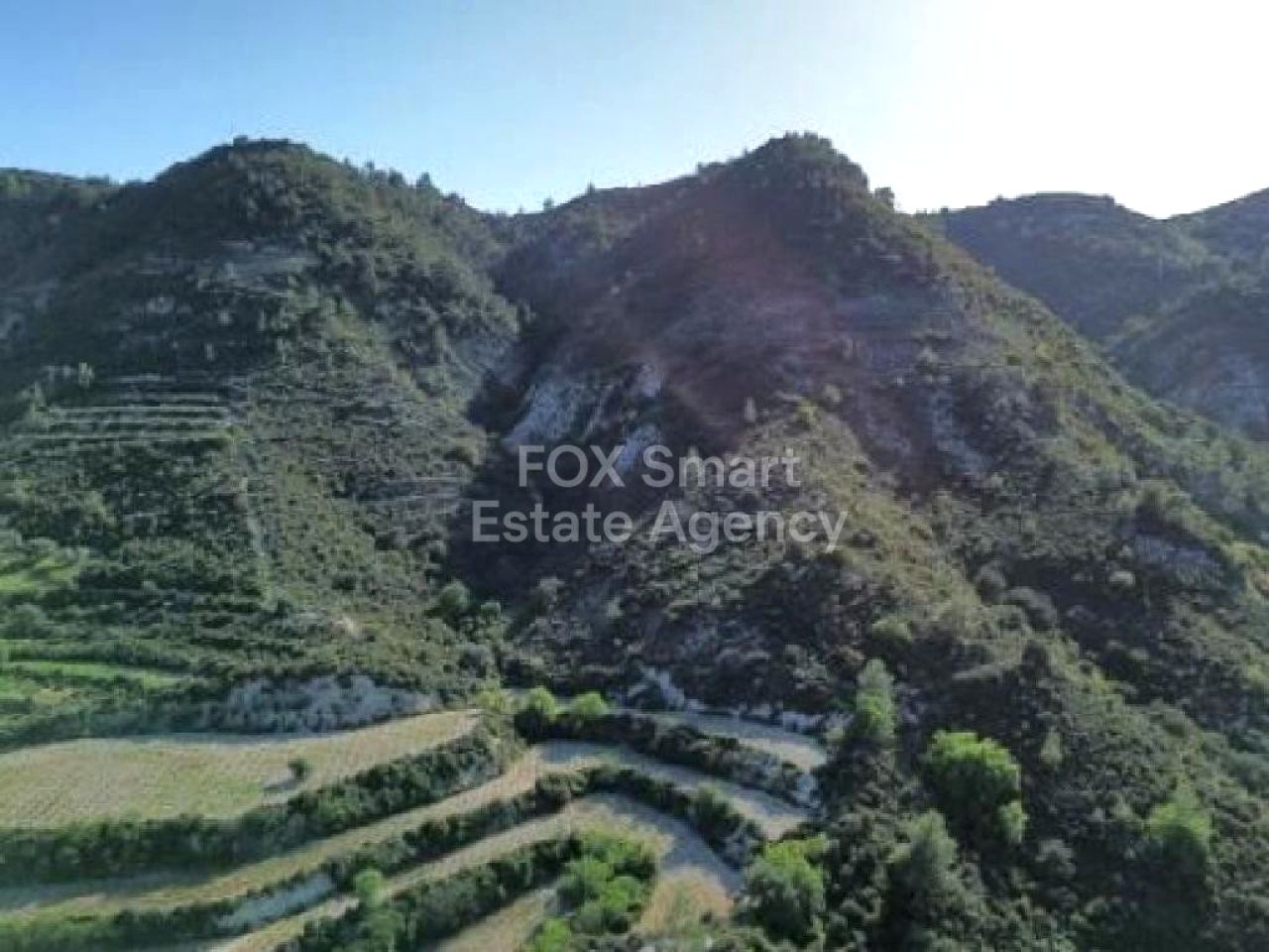 Thumbnail 1 Property 4741 Agios Mamas, Limassol / LIM-PAF-32544