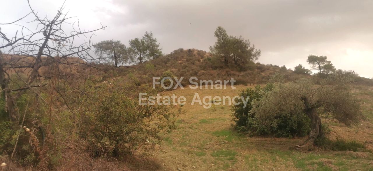 Thumbnail 2 Property 4711 Agios Therapon, Limassol / LIM-PAF-28837