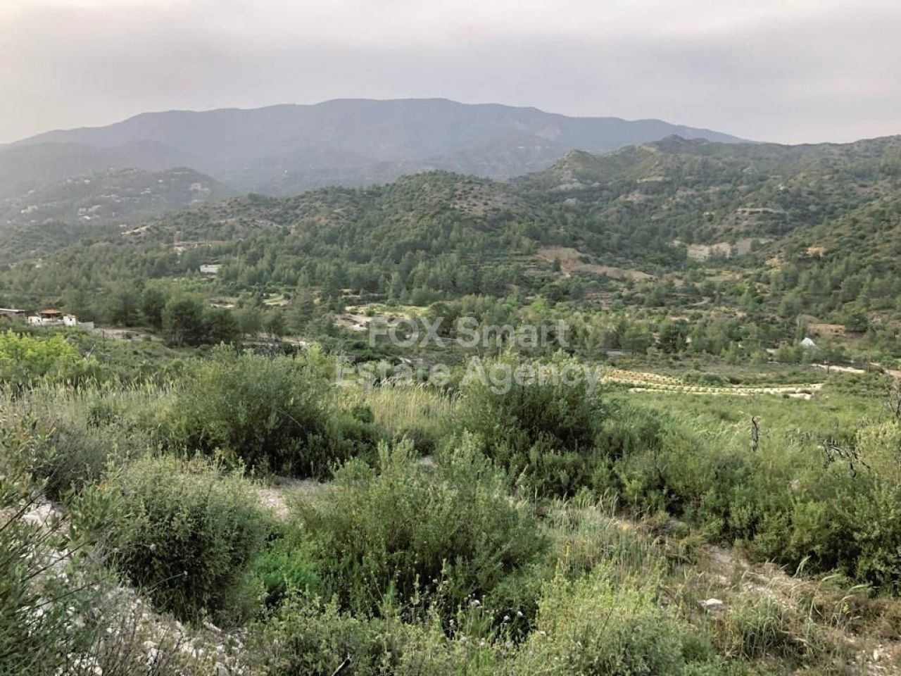 נכס 39333 אגרוס, לימסול / LIM-PAF-25603