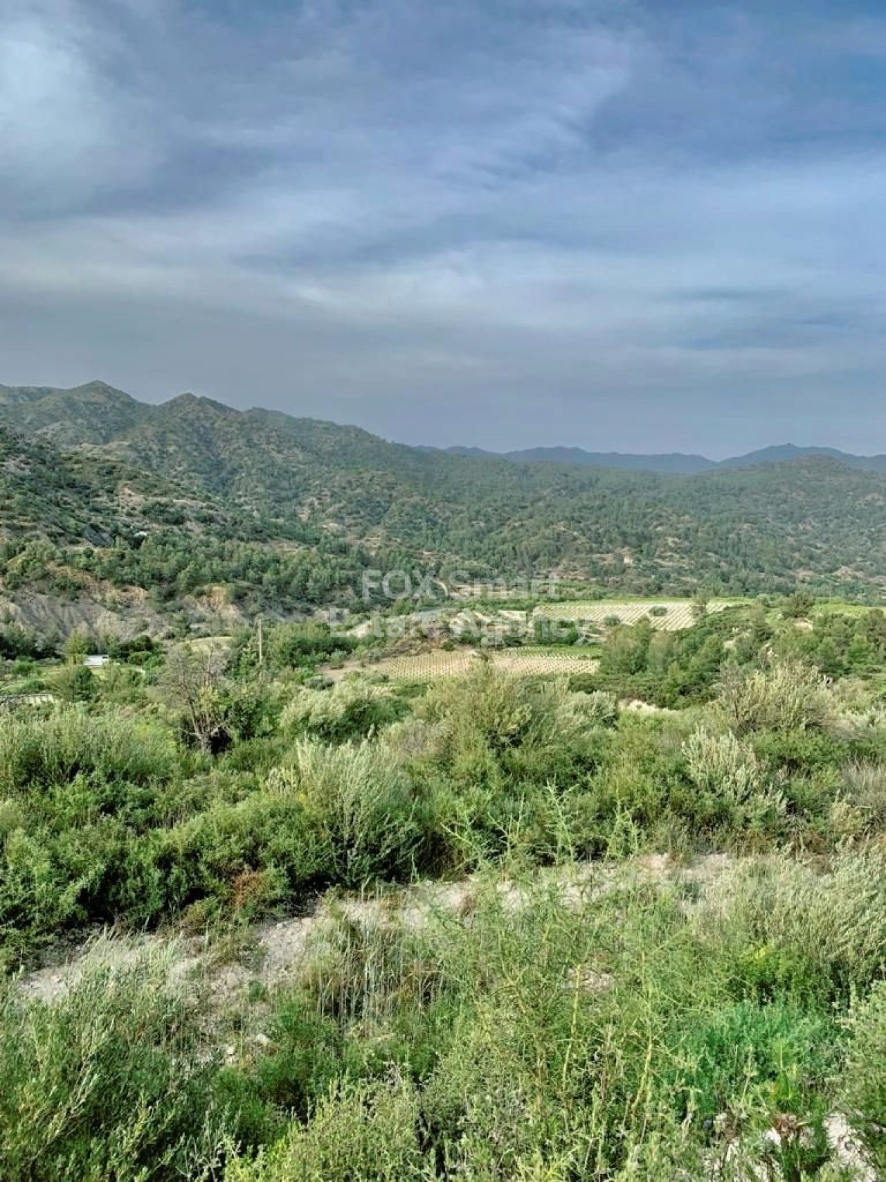 נכס 39333 אגרוס, לימסול / LIM-PAF-25603