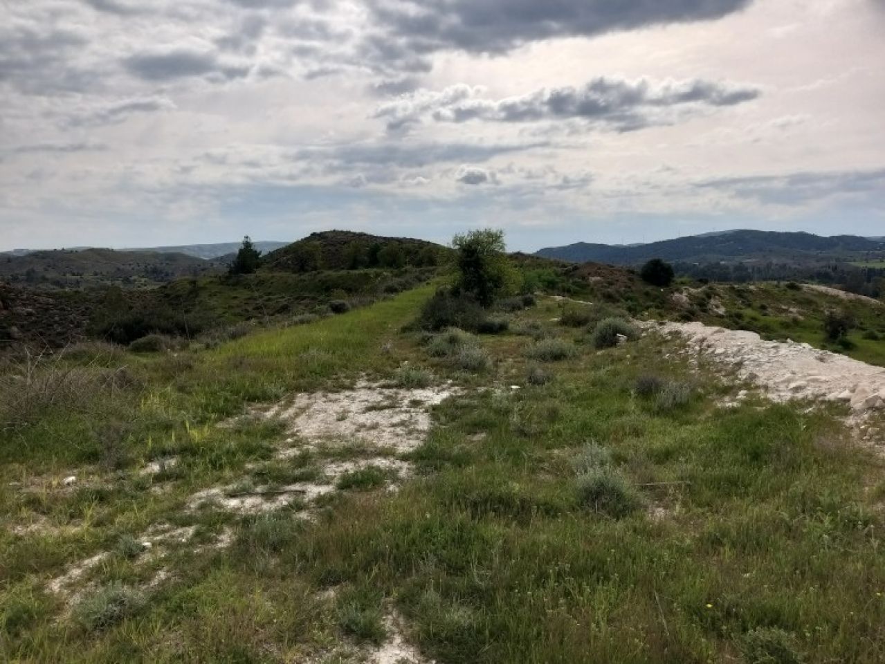 Thumbnail 4 Ακίνητα 2563 Αλάμπρα, Λευκωσία / 36747
