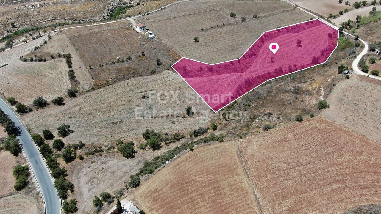 Thumbnail 4 LIM-PAF-12287 / נכס 8502 אנאריטה, פאפוס
