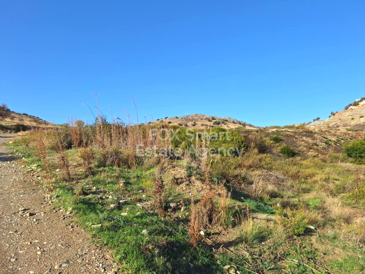 Nieruchomość 54239 Anarita, Pafos / LIM-PAF-31416