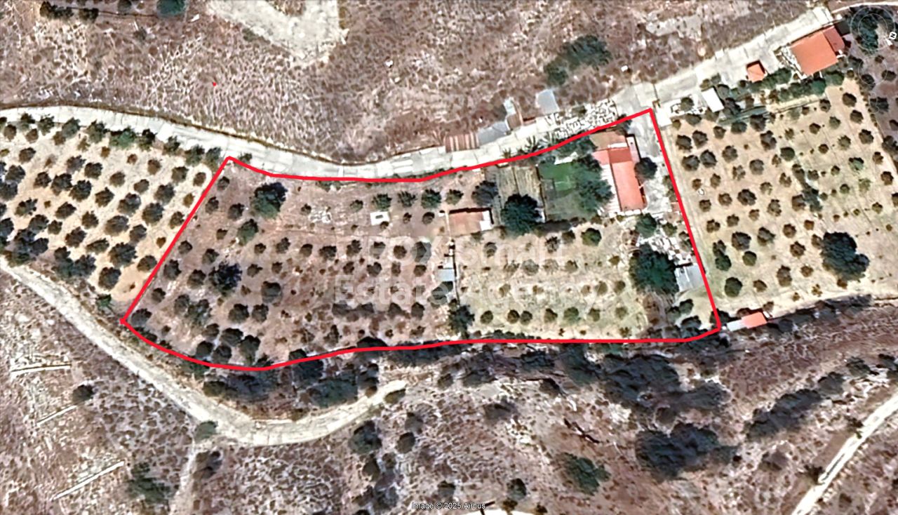 Thumbnail 1 Propriété 7100 Aradippou, Larnaca / L-58667