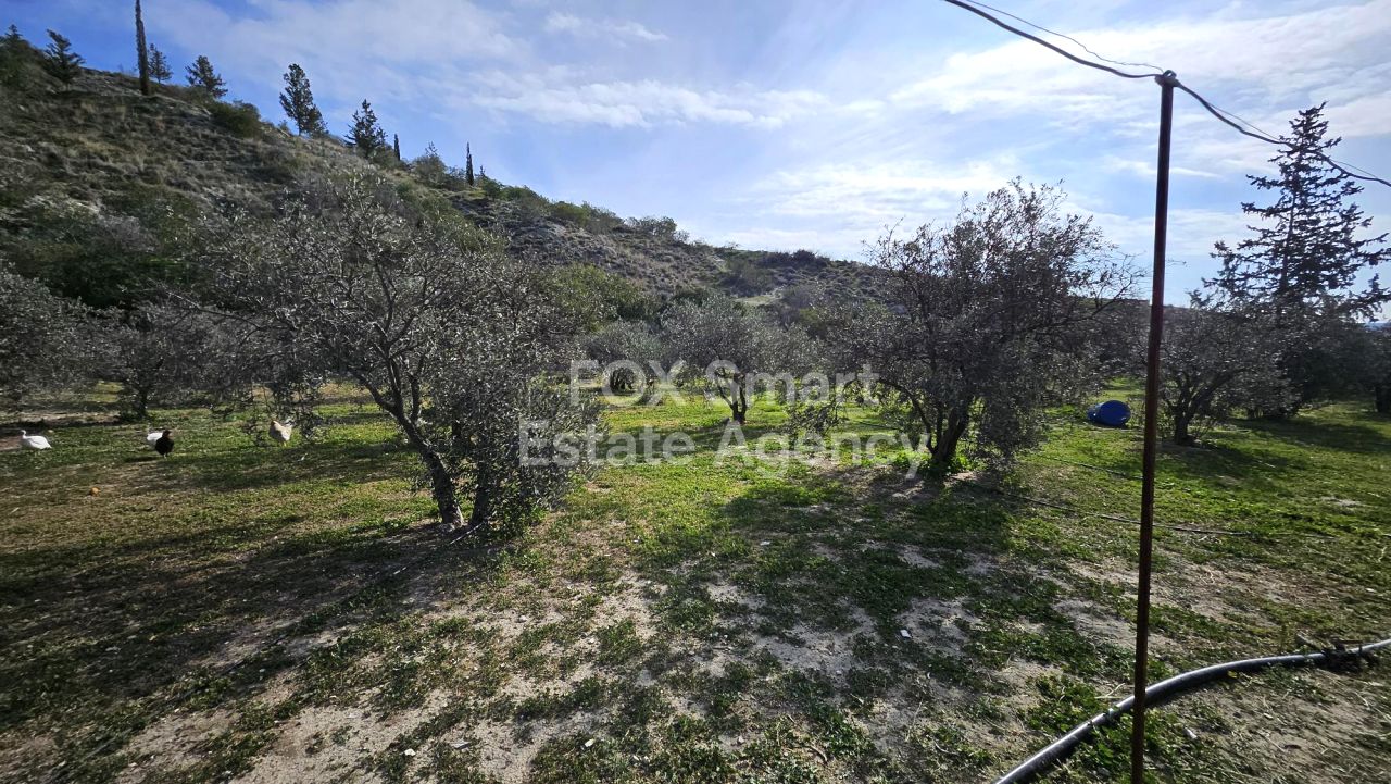 Thumbnail 12 Propriété 7100 Aradippou, Larnaca / 41753