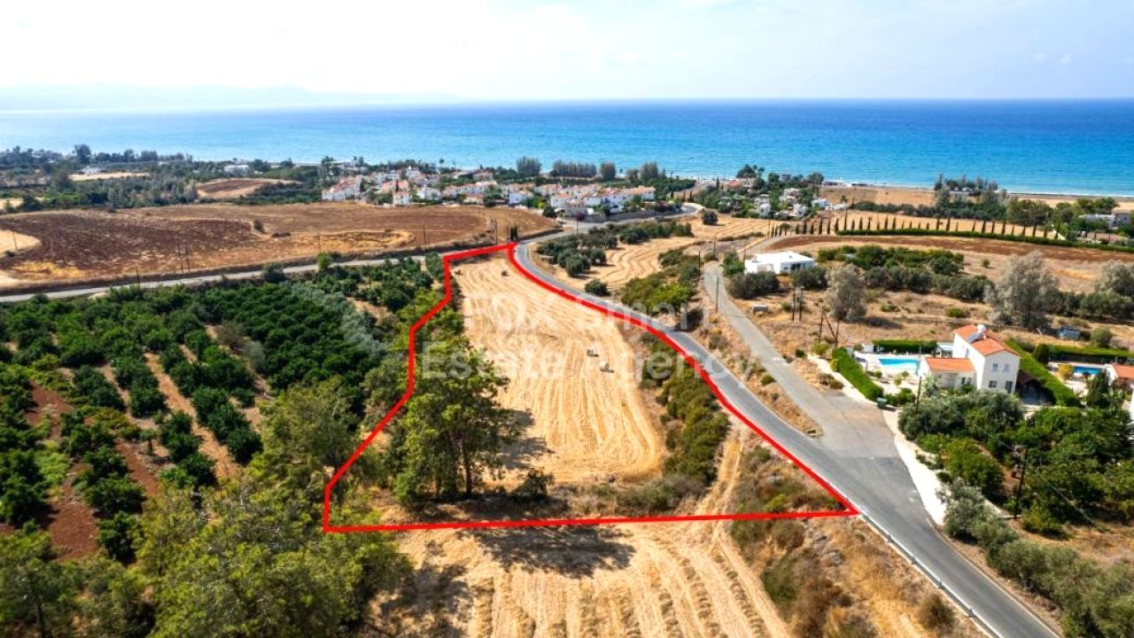 Thumbnail 3 Proprietà 8873 Argaka, Paphos / LIM-PAF-P-114446