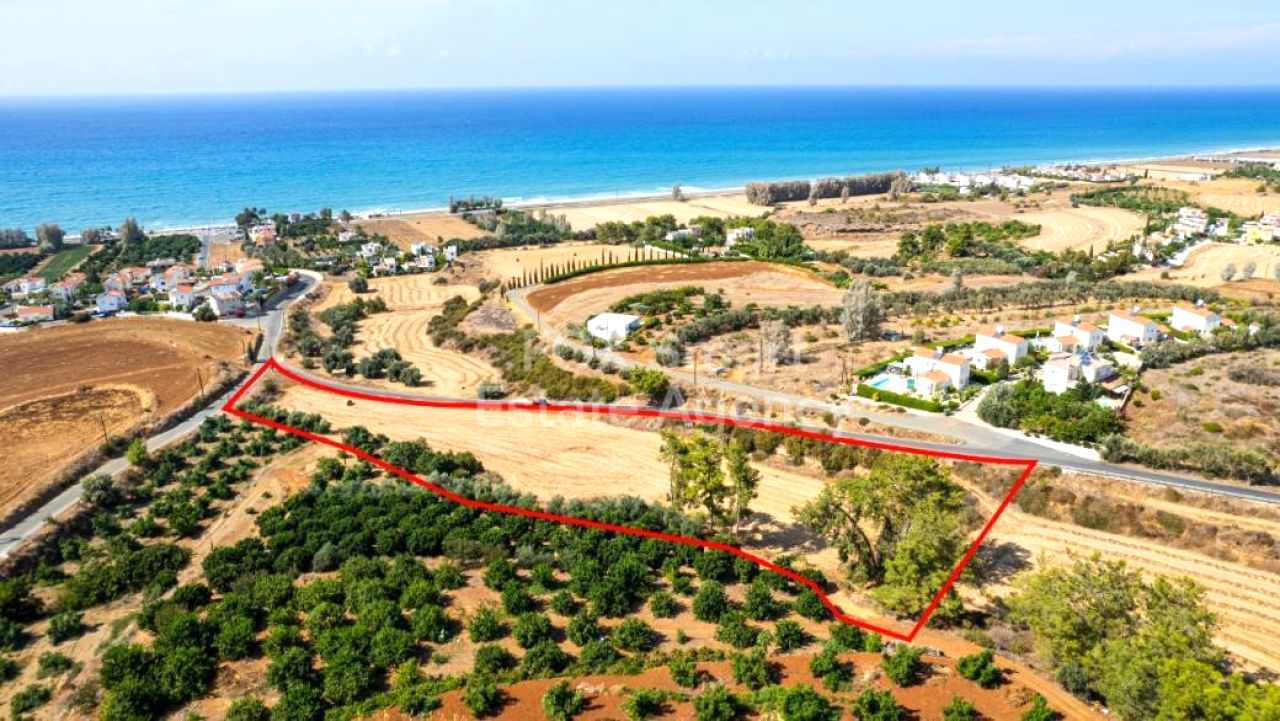 Thumbnail 4 Proprietà 8873 Argaka, Paphos / LIM-PAF-P-114446