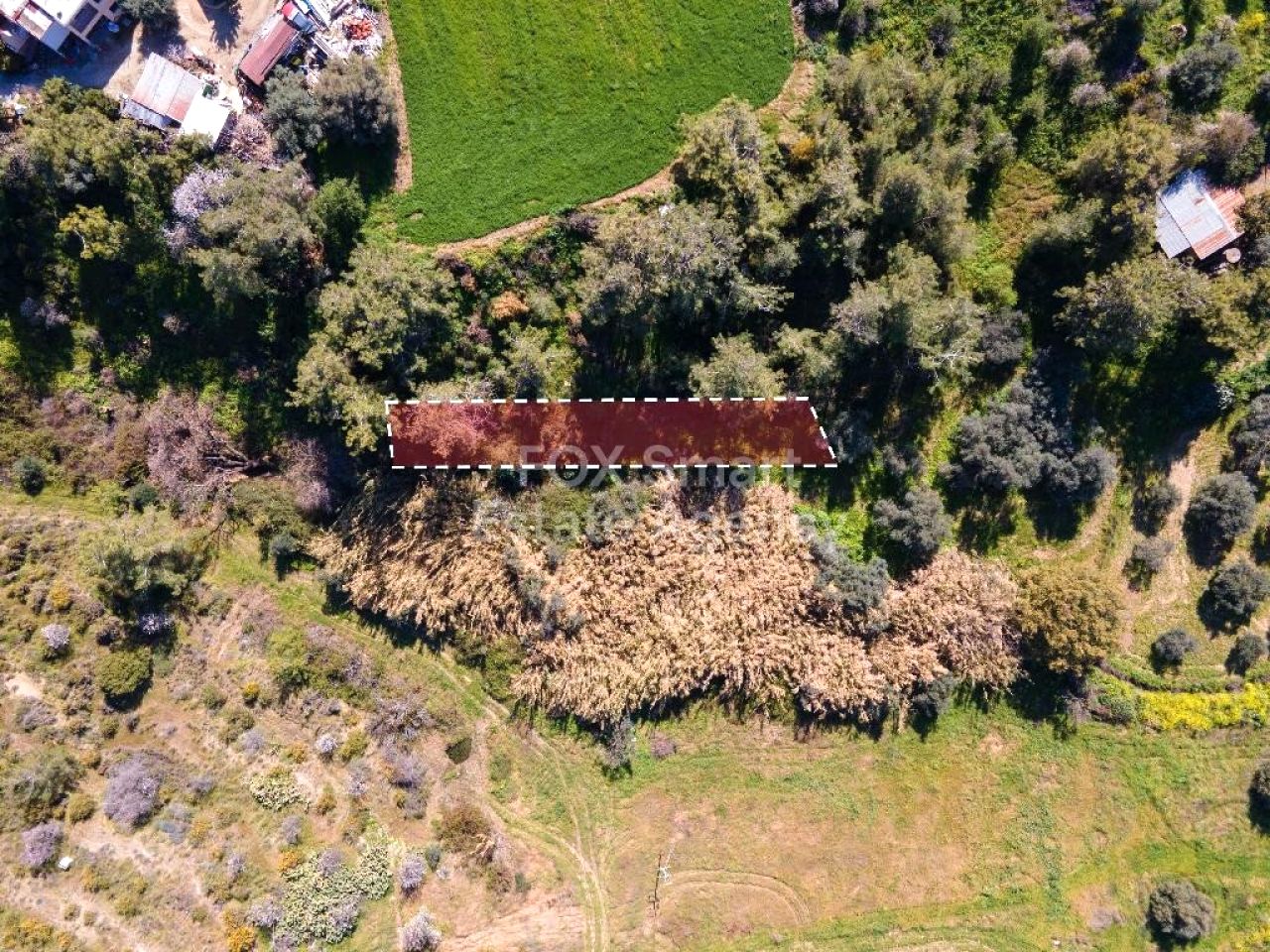 Thumbnail 4 Propiedad 8873 Argaka, Pafos / LIM-PAF-32703