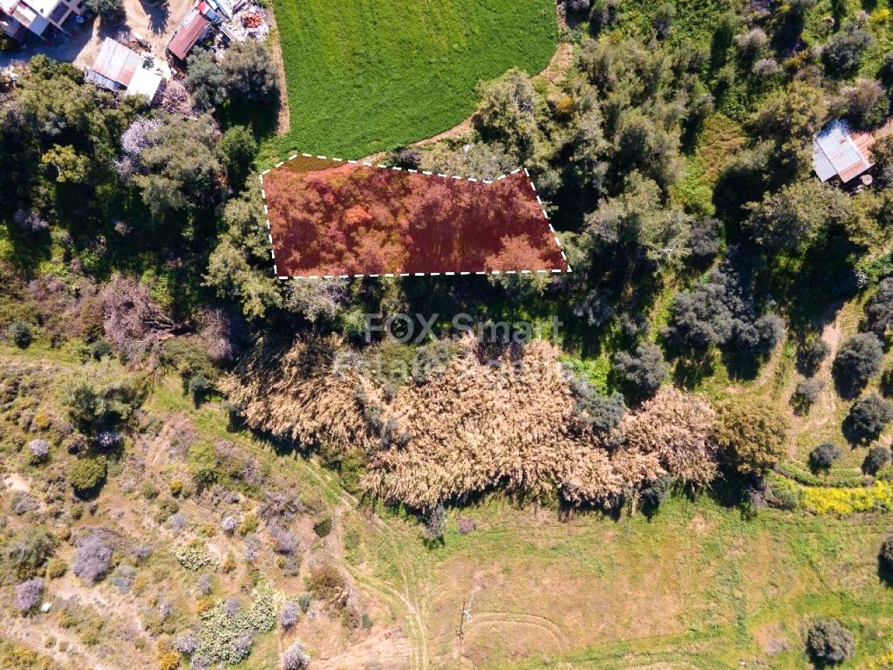 Thumbnail 6 Propiedad 8873 Argaka, Pafos / LIM-PAF-32703