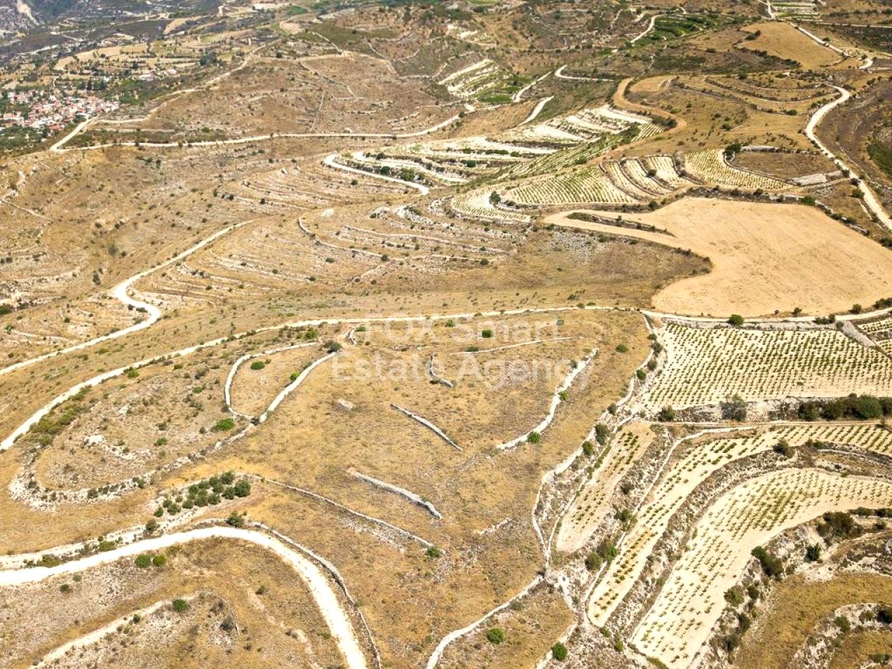 Thumbnail 6 Proprietà 4770 Arsos, Limassol / LIM-PAF-31373