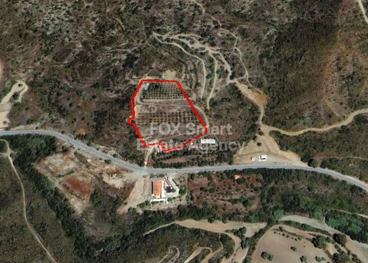 Объект недвижимости 42542 Асгата, Лимассол / LIM-PAF-26304