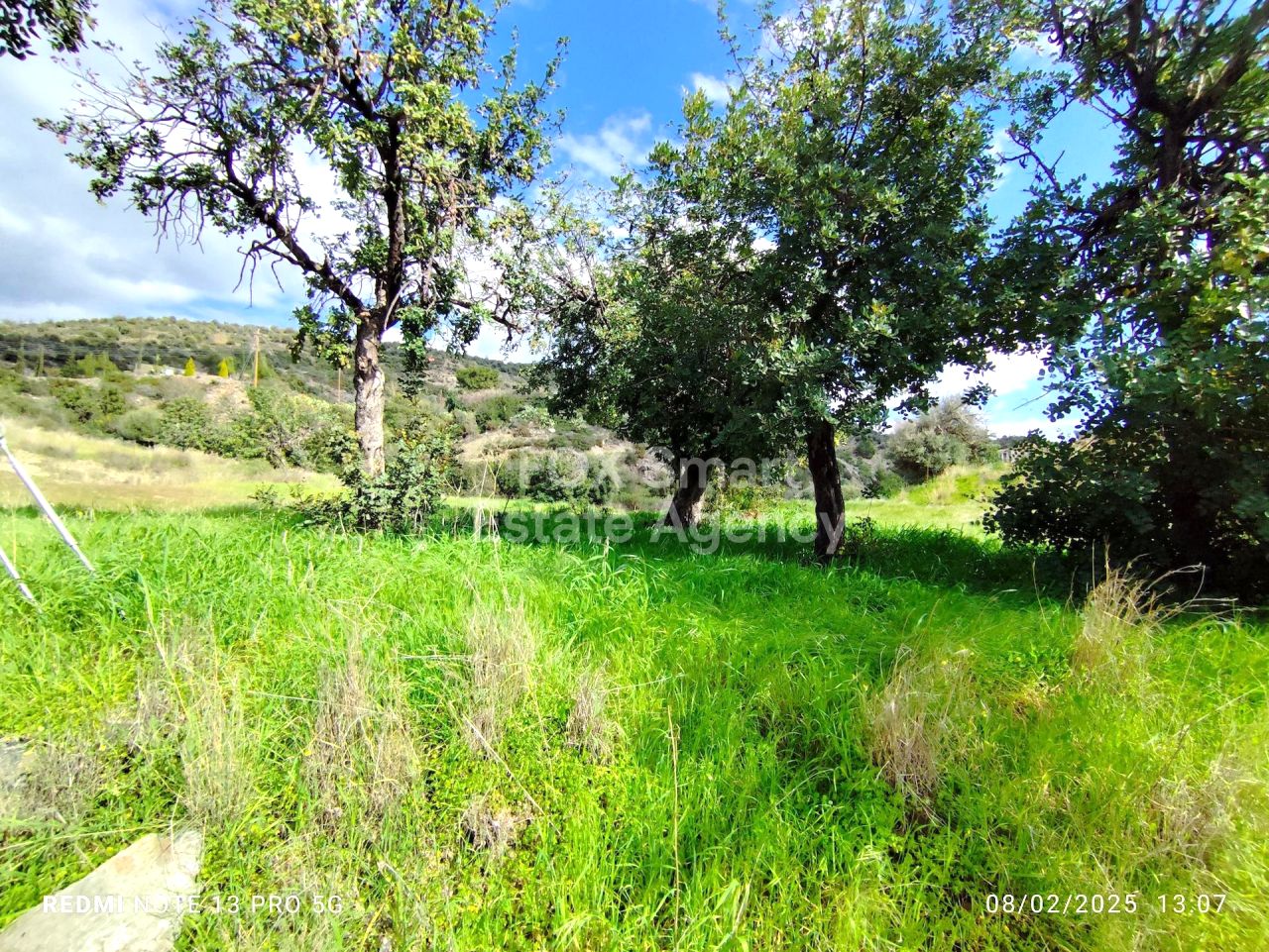 נכס 47746 אסגטה, לימסול / LIM-PAF-28352