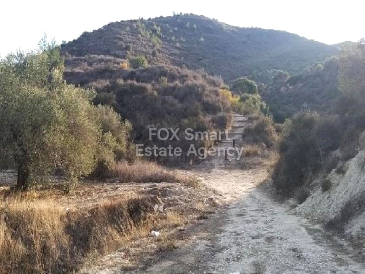 Thumbnail 2 Propiedad 4502 Asgata, Limasol / LIM-PAF-32987