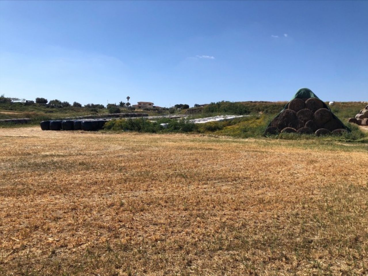 Immobile 12494 Dalì, Nicosia / L-117345