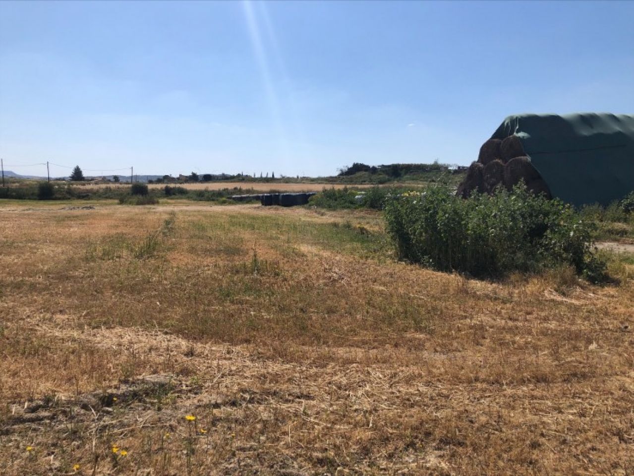 Immobile 12494 Dalì, Nicosia / L-117345