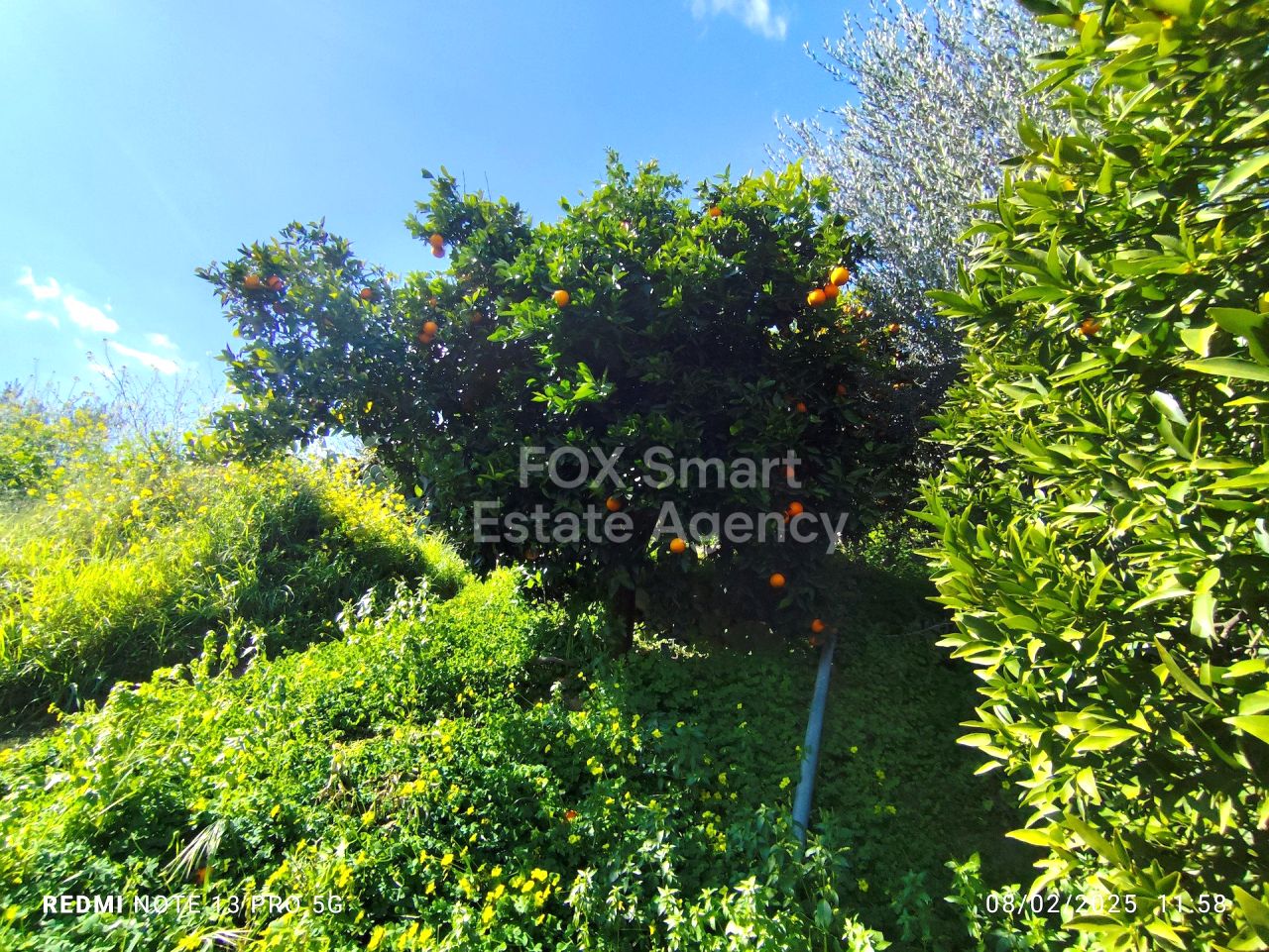 Bien immobilier 53477 Dierona, Limassol / LIM-PAF-31076