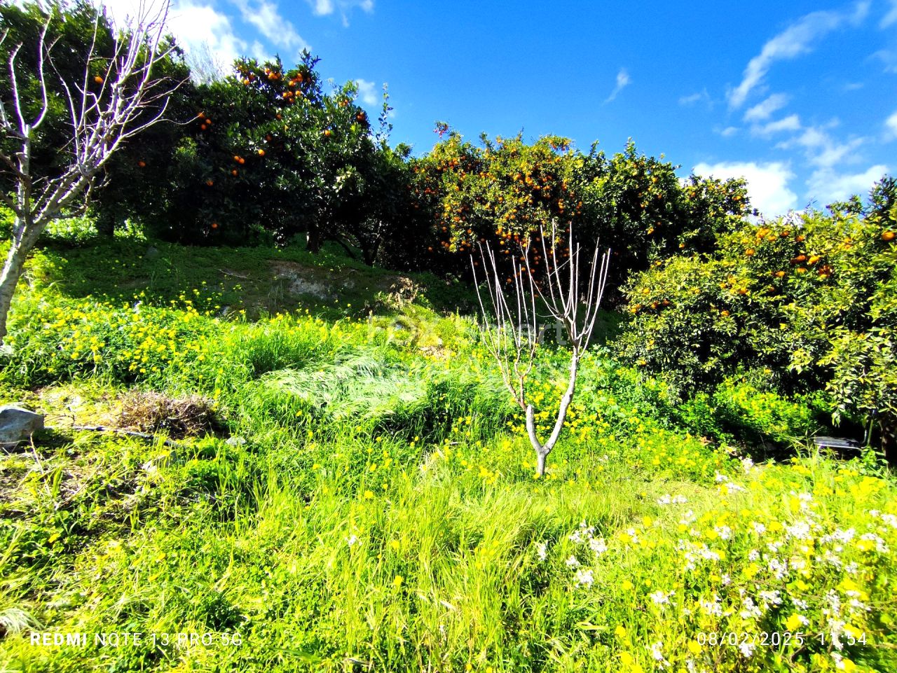 Bien immobilier 53477 Dierona, Limassol / LIM-PAF-31076