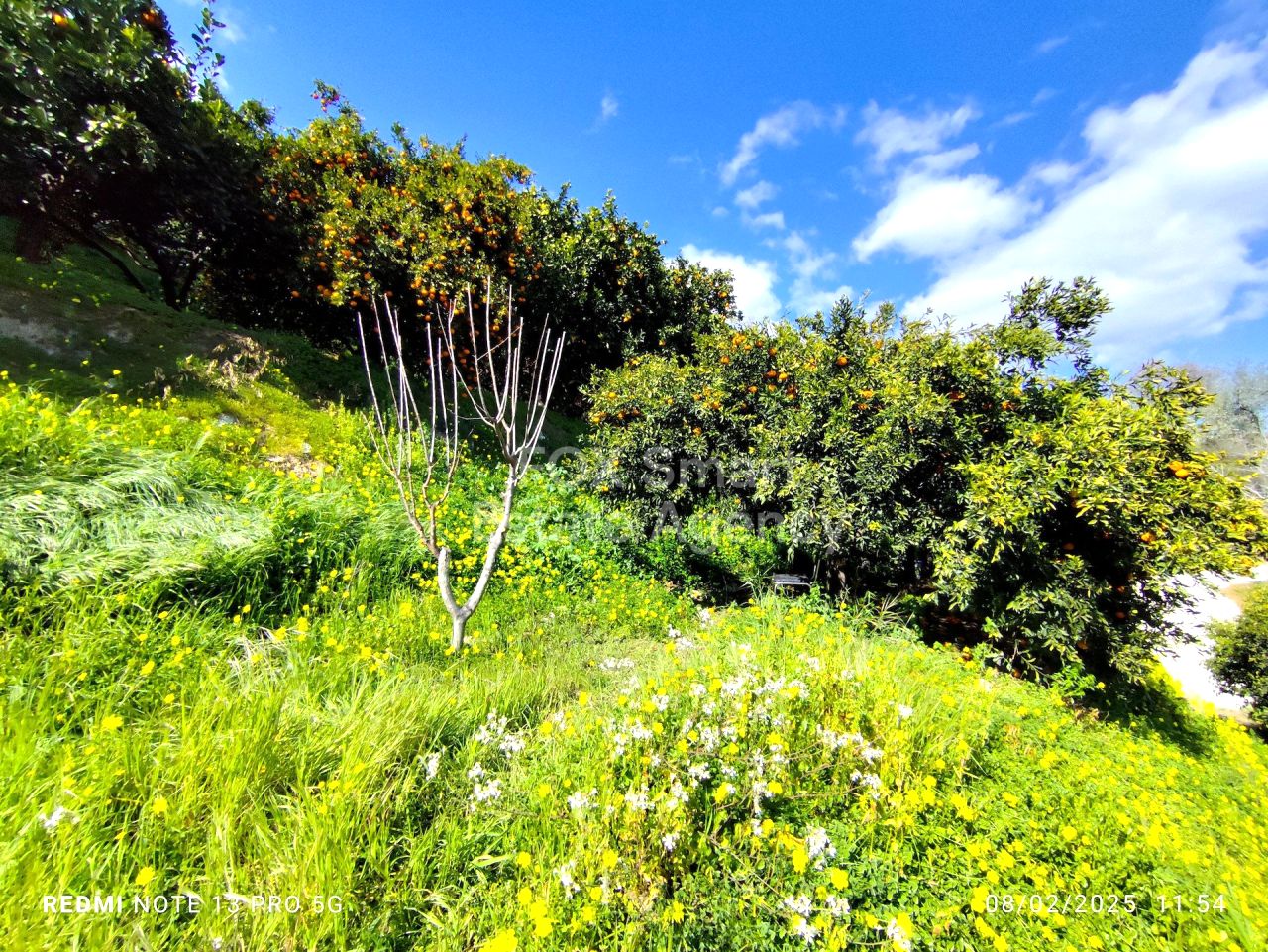 Bien immobilier 53477 Dierona, Limassol / LIM-PAF-31076