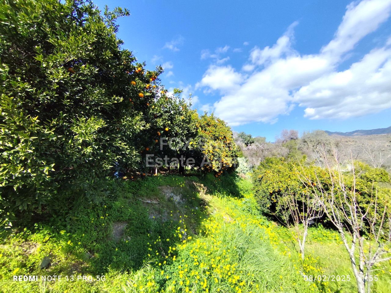 Bien immobilier 53477 Dierona, Limassol / LIM-PAF-31076