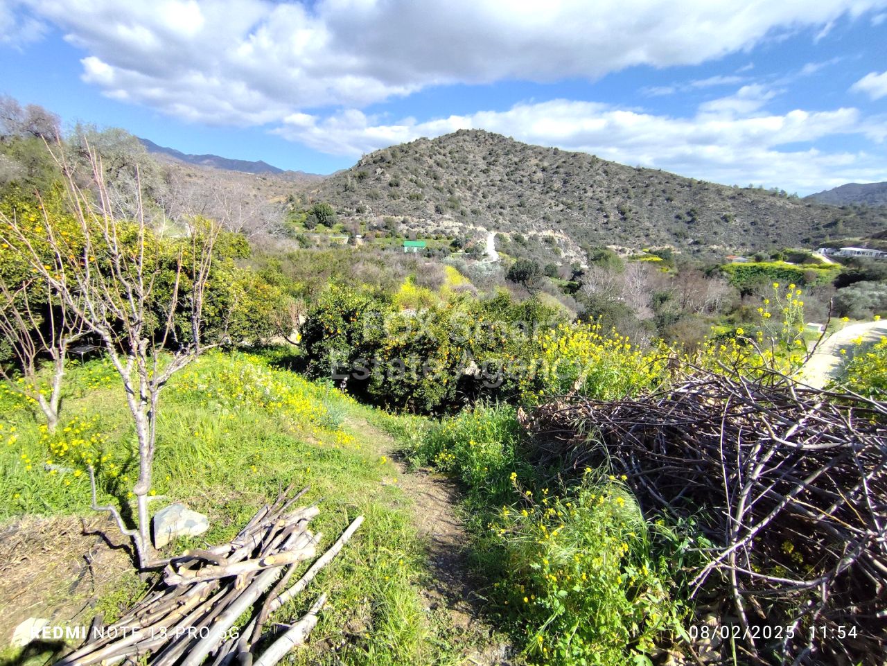 Bien immobilier 53477 Dierona, Limassol / LIM-PAF-31076