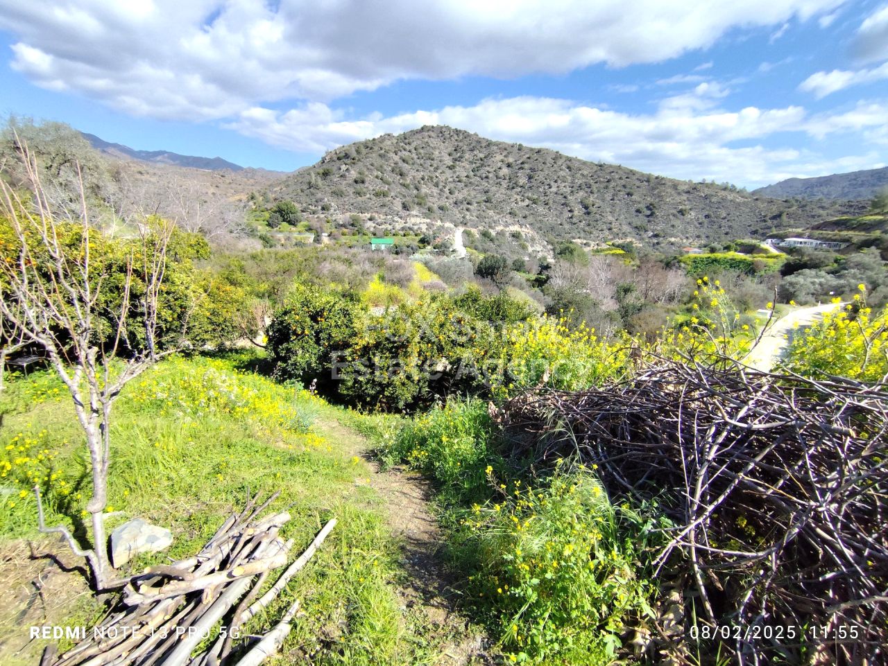 Bien immobilier 53477 Dierona, Limassol / LIM-PAF-31076