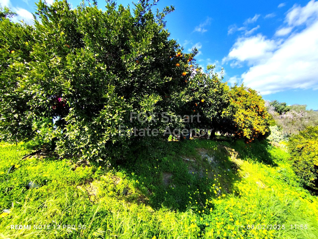 Bien immobilier 53477 Dierona, Limassol / LIM-PAF-31076