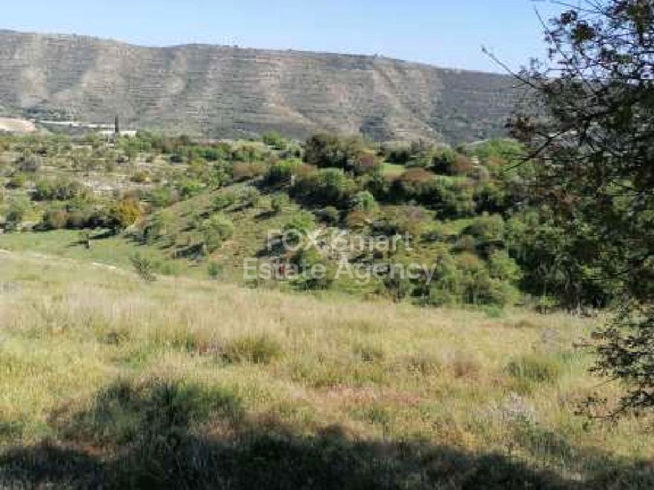 Thumbnail 2 LIM-PAF-L-102698 / נכס 8560 פגיה, פאפוס