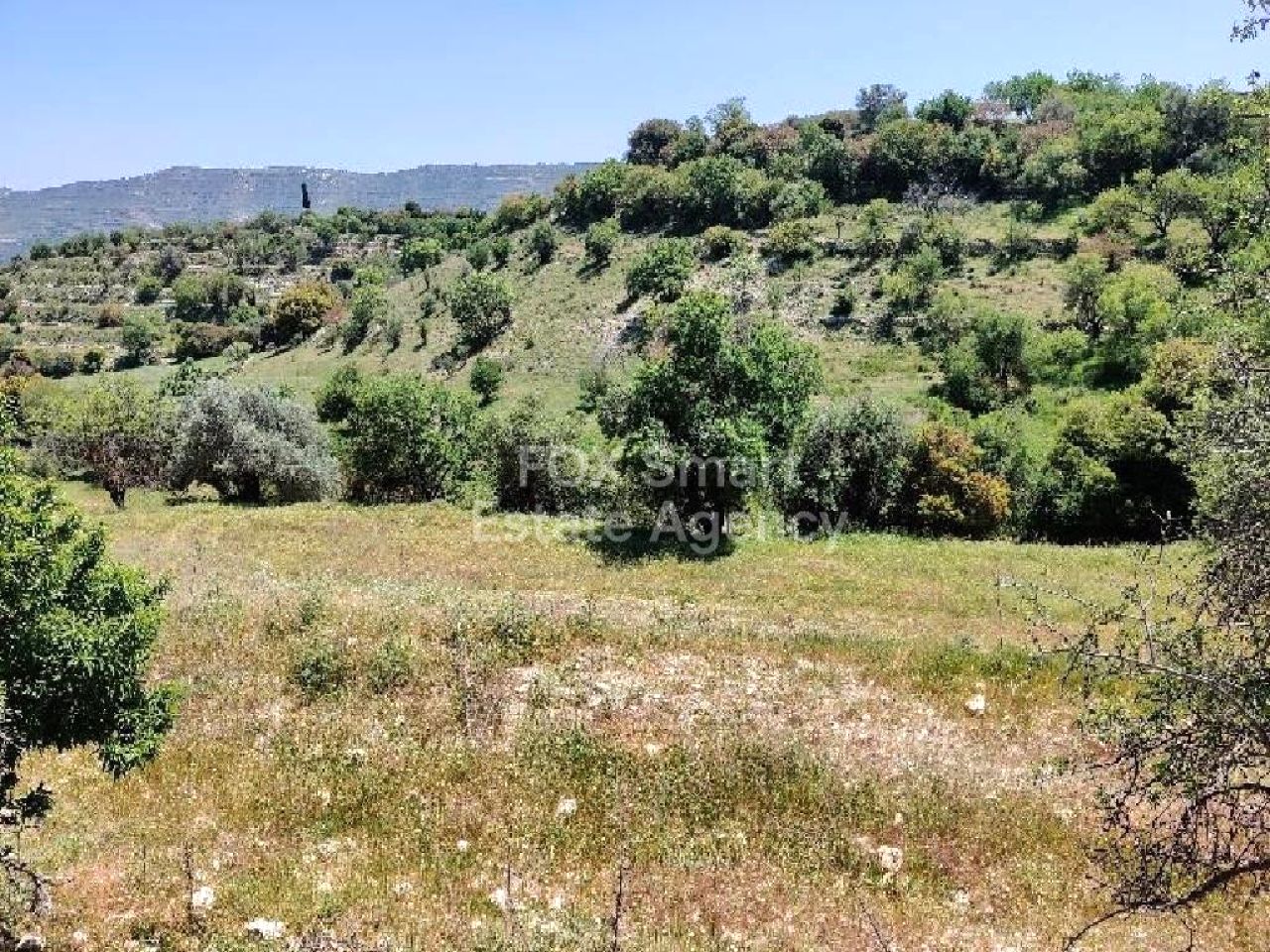 Thumbnail 1 LIM-PAF-L-102698 / נכס 8560 פגיה, פאפוס