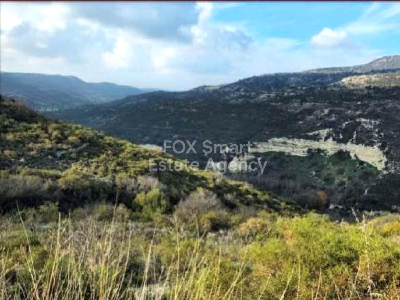 Thumbnail 1 LIM-PAF-32606 / נכס 4774 דורה, לימסול