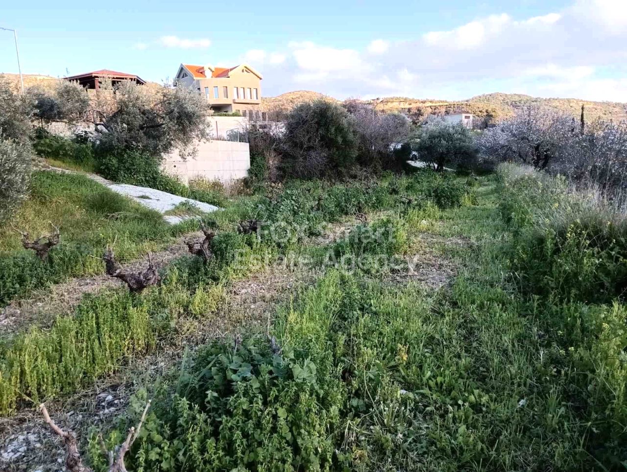 נכס 49633 דורוס, לימסול / LIM-PAF-29276