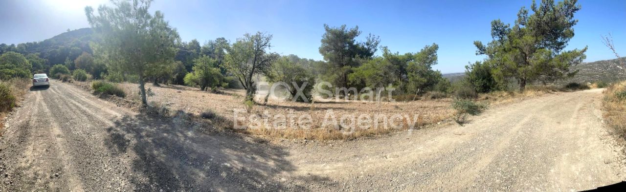 房产 52374 Doros, 利马索尔 / LIM-PAF-30605