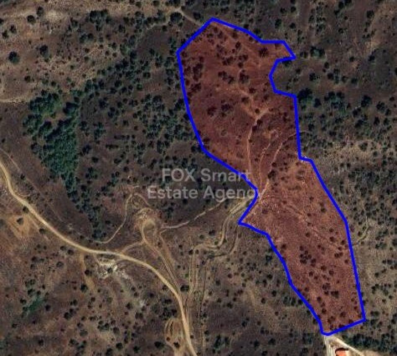 Property 54930 Evrychou, Nicosia / 46587