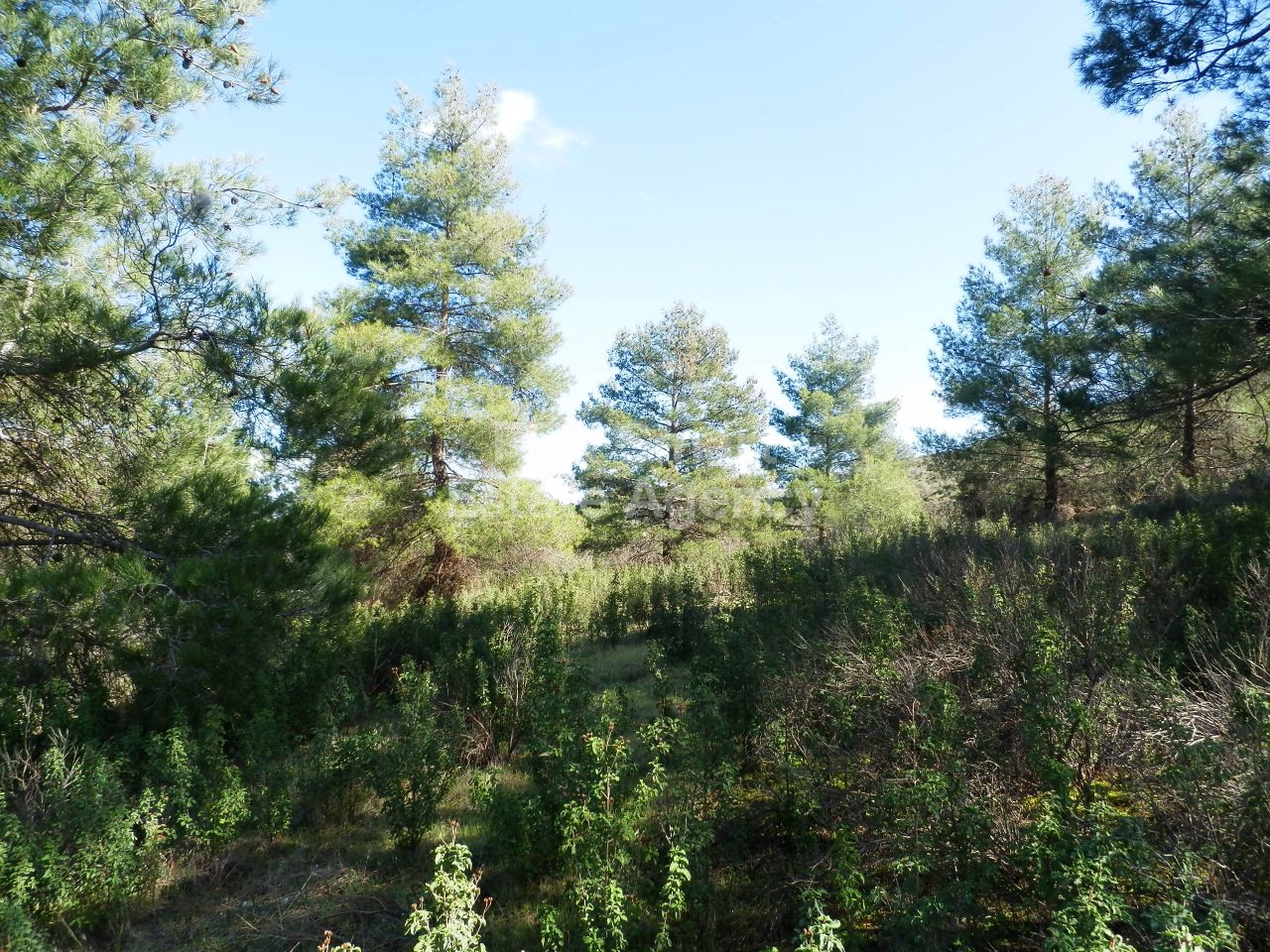 房产 36643 Fikardou, 尼科西亚 / 27366