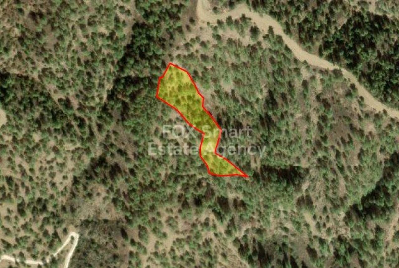 Ακίνητο 50062 Καλιανά, Λευκωσία / 42677