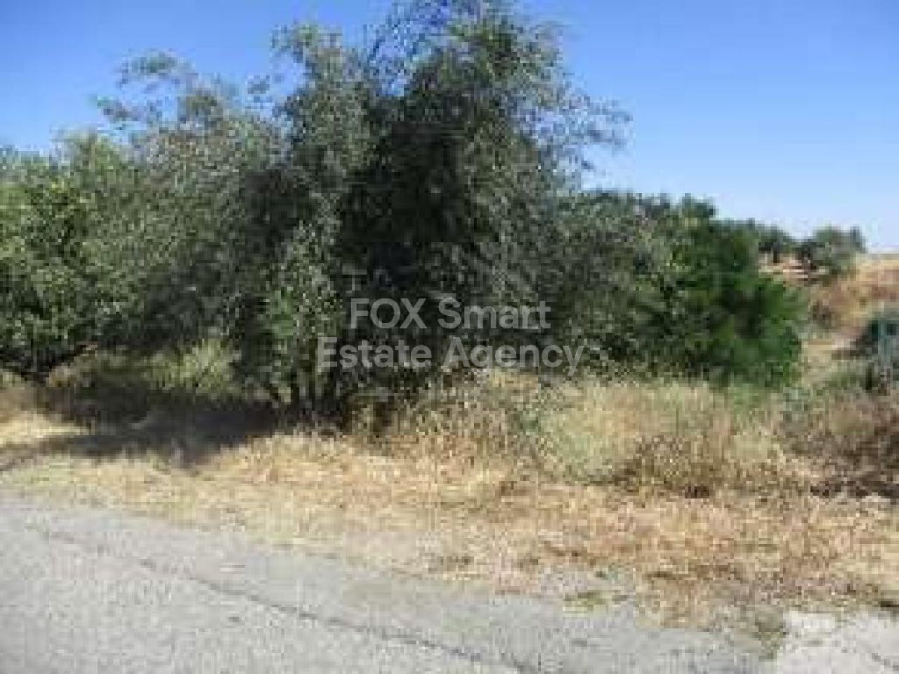 Immobilie 35672 Kalo Chorio Oreinis, Nikosia / 31929