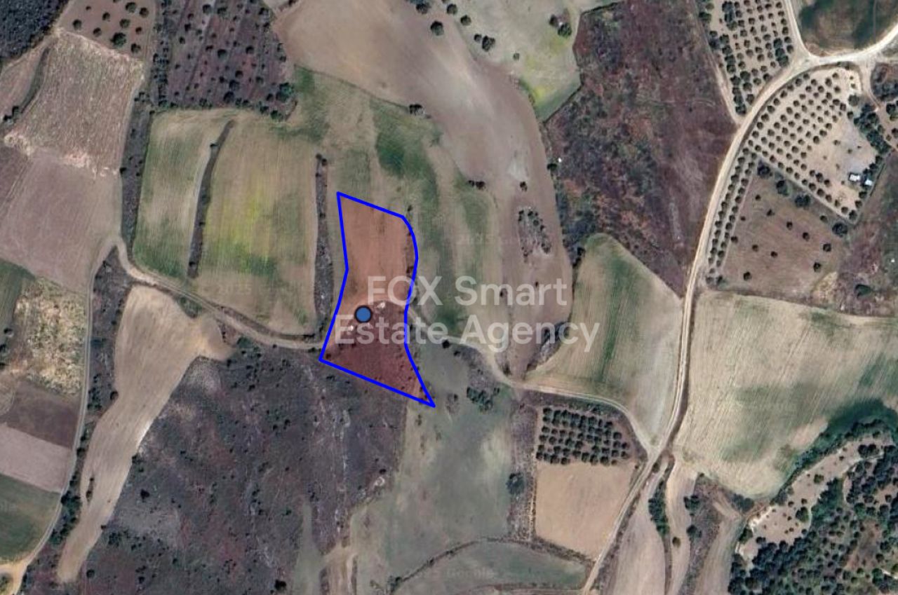 Ακίνητο 49111 Καλό Χωριό Ορεινής, Λευκωσία / 41885