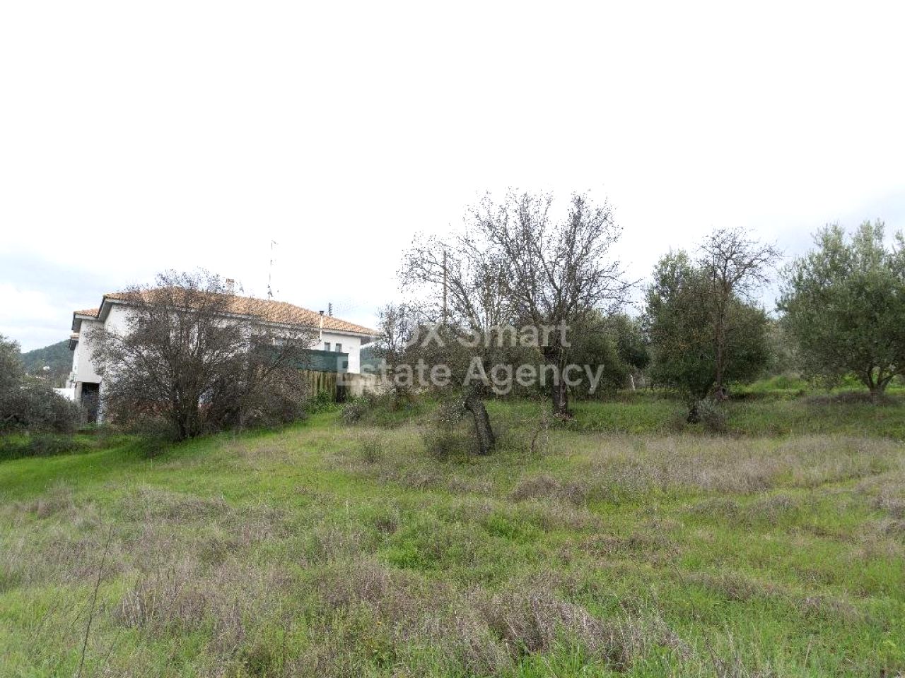 Immobilie 53151 Kalo Chorio Oreinis, Nikosia / 45146