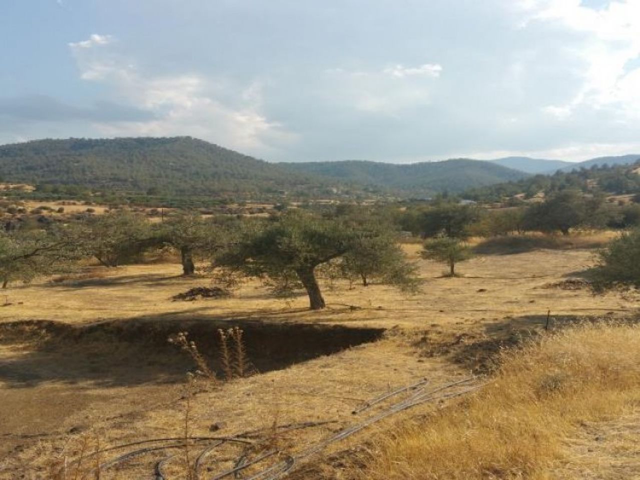 Объект недвижимости 9414 Кало Хорио Орейнис, Никосия / L-71802