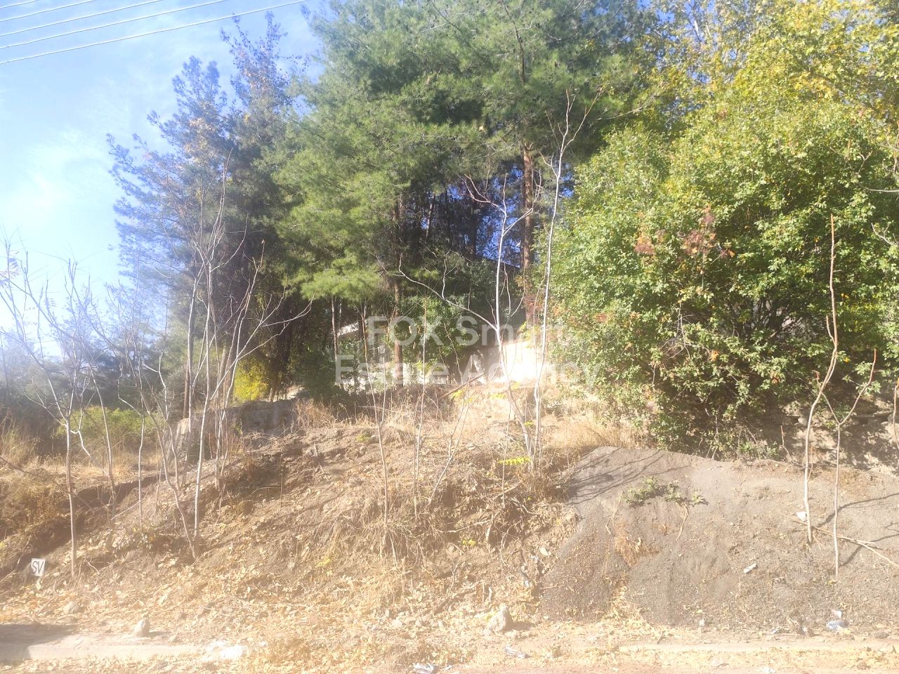 Thumbnail 1 Property 4843 Kaminaria, Limassol / LIM-PAF-32492