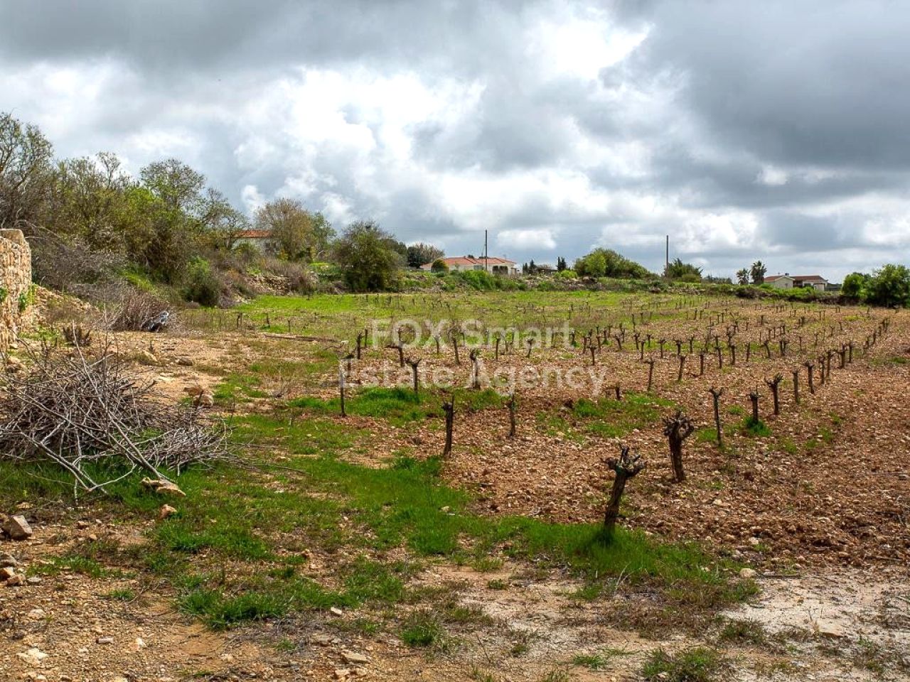 Объект недвижимости 59068 Катикас, Пафос / LIM-PAF-33470