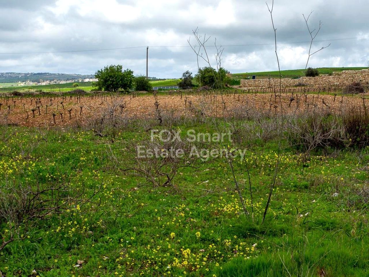 Объект недвижимости 59068 Катикас, Пафос / LIM-PAF-33470