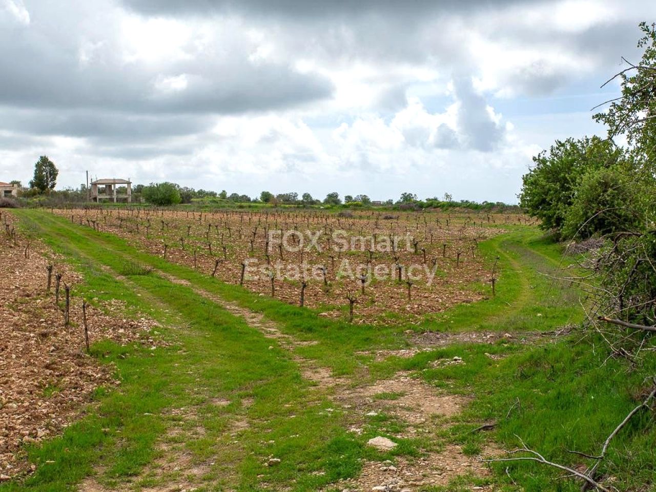 Объект недвижимости 59068 Катикас, Пафос / LIM-PAF-33470