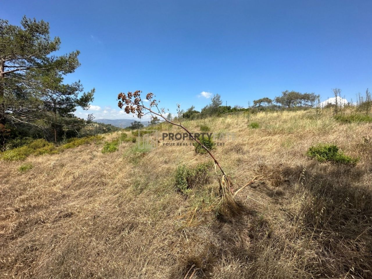 Bien immobilier 38987 Kellaki, Limassol / 1066